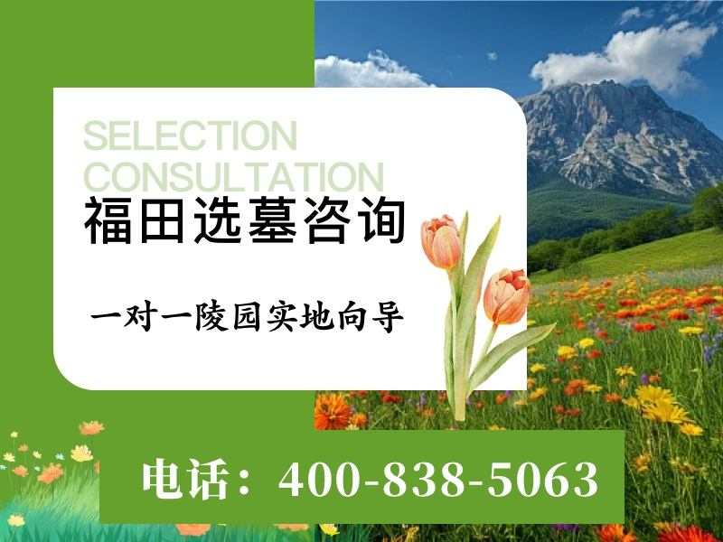 福田公墓树葬 人文底蕴中的绿色殡葬：探索生态安息的艺术与意义
